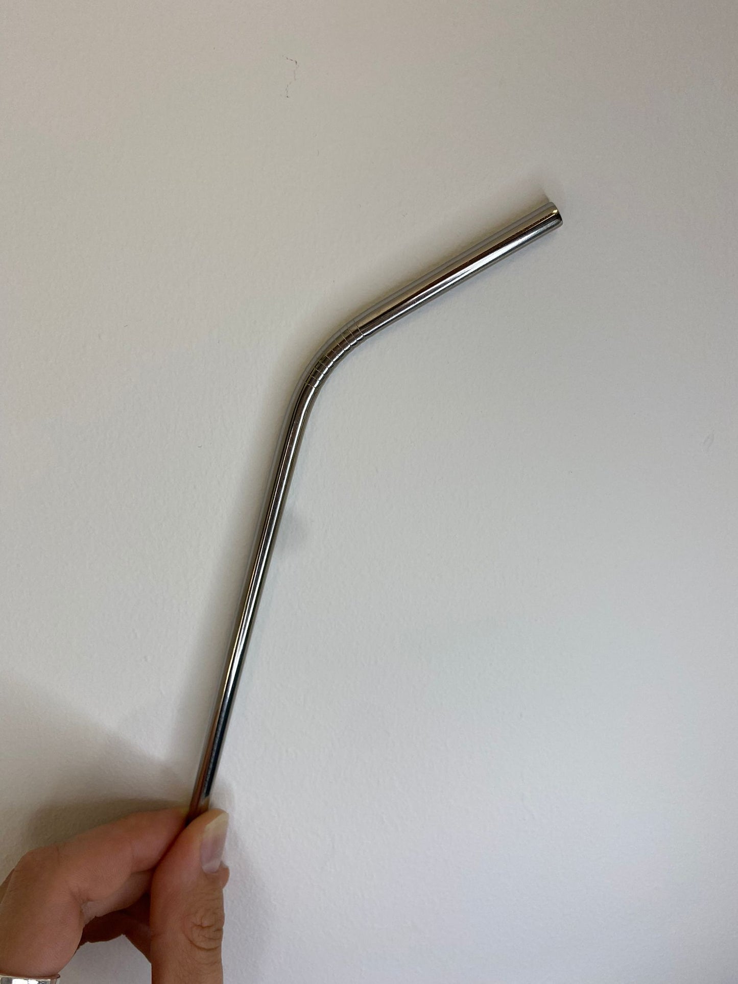 Metal Straw